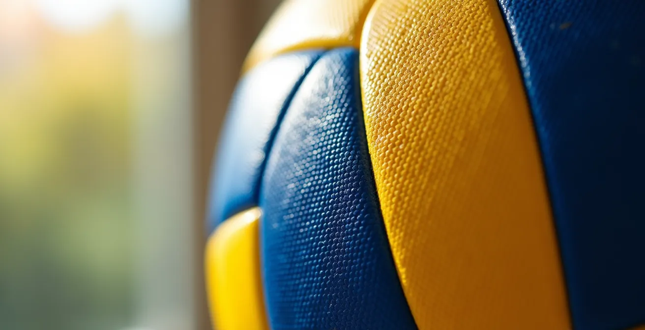 Ballon de volleyball à 18 panneaux montrant l'effet visuel de rotation